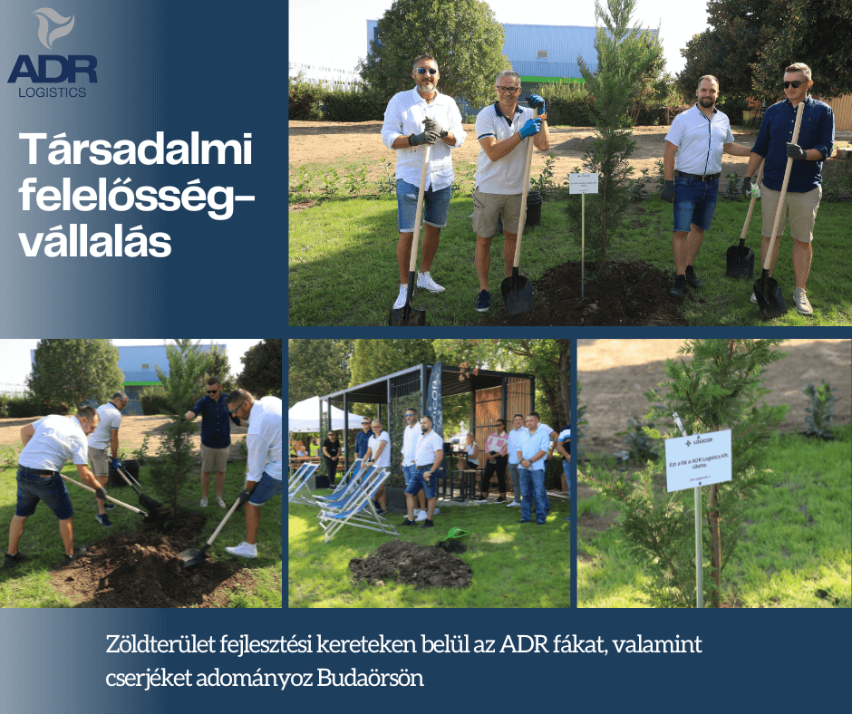 tarsadalmi felelossegvallalas